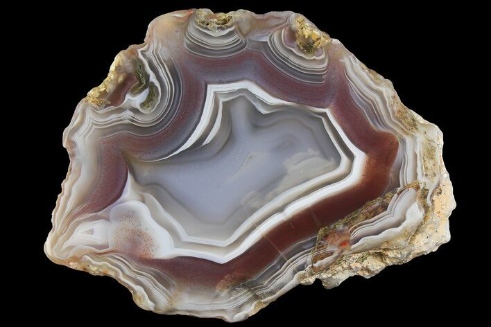 Polished Agate Nodule End Cut - Kerrouchen, Morocco #181294